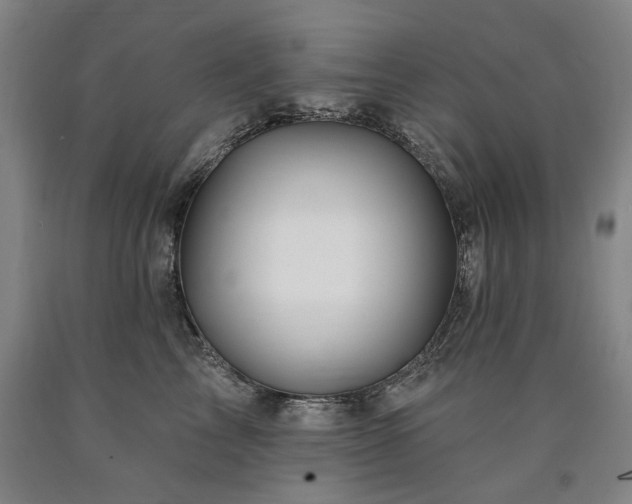 X0000090930713200707301555