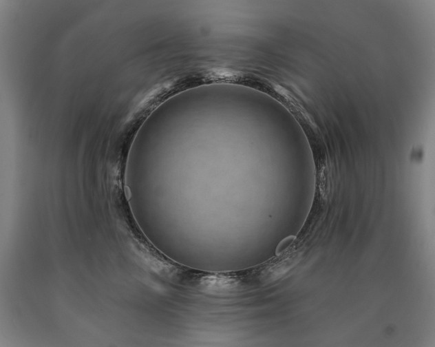 X0000090930714200707301555