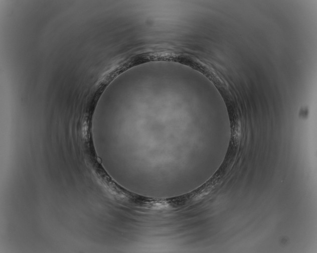 X0000090930715200707301555