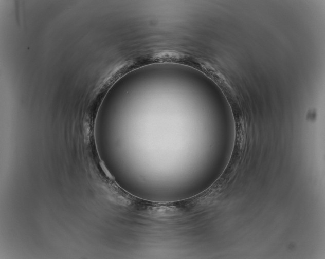 X0000090930716200707301555