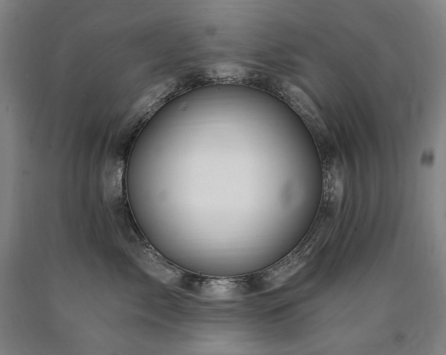 X0000090930717200707301555
