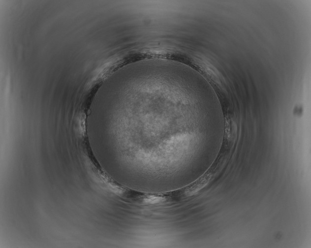 X0000090930718200707301555