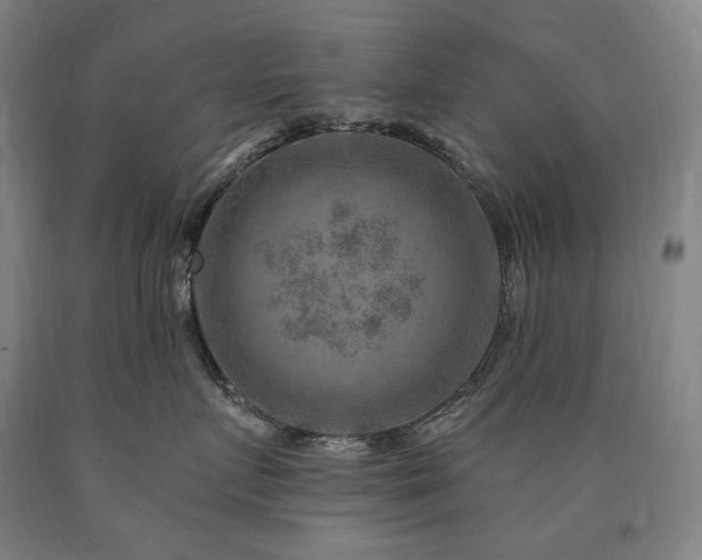 X0000090930719200707301555