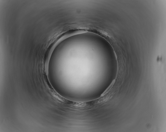 X0000090930720200707301555