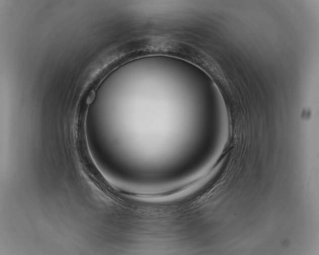 X0000090930722200707301554