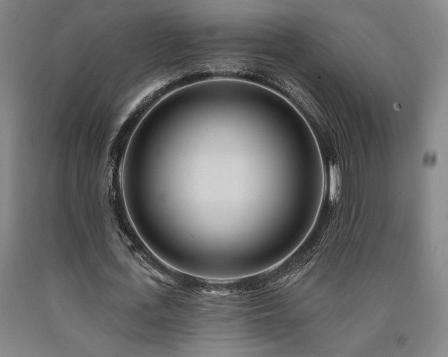 X0000090930723200707301554