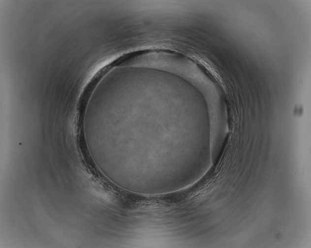X0000090930724200707301555