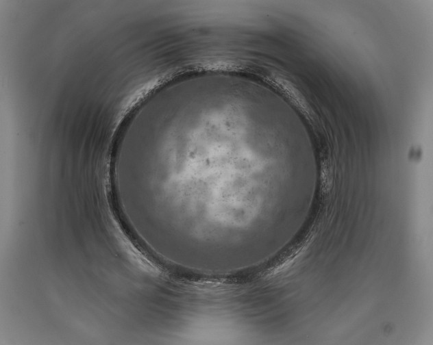 X0000090930725200707301555
