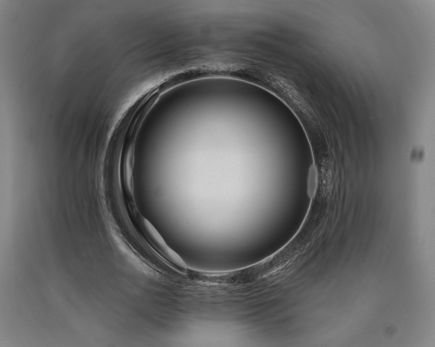 X0000090930726200707301555