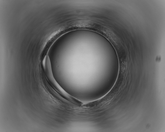 X0000090930727200707301555