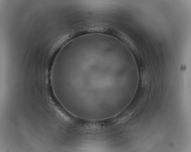 X0000090930729200707301555