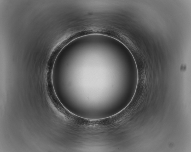 X0000090930730200707301555