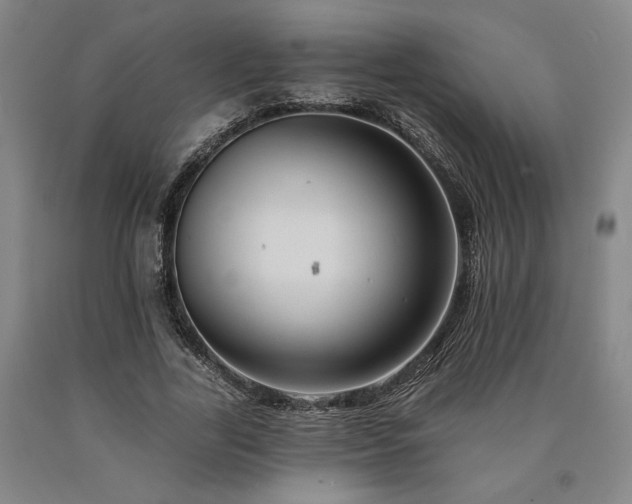 X0000090930731200707301555