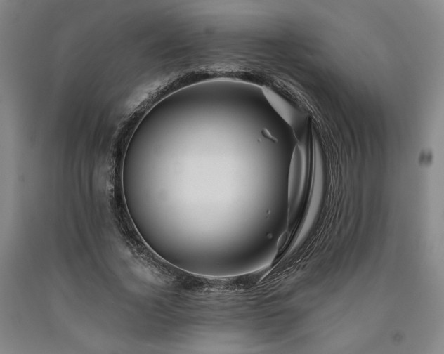 X0000090930732200707301555
