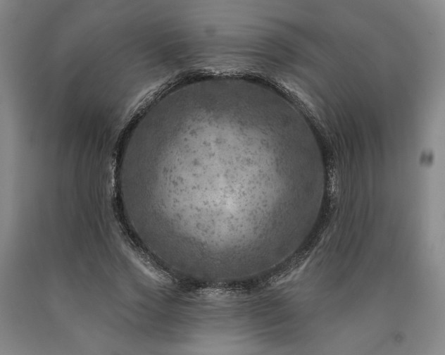 X0000090930733200707301555