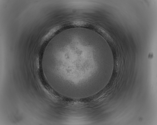 X0000090930734200707301555
