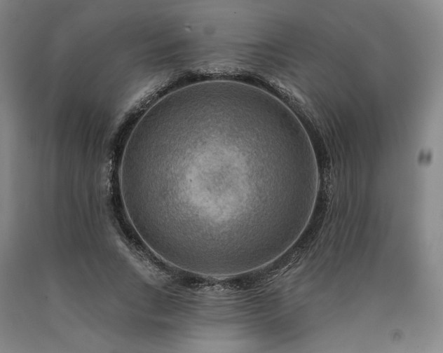 X0000090930735200707301555