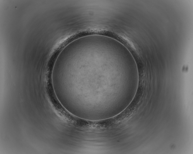 X0000090930736200707301555