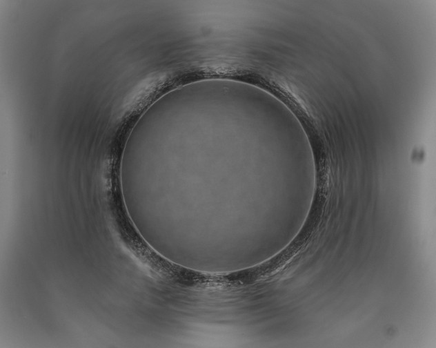 X0000090930738200707301555