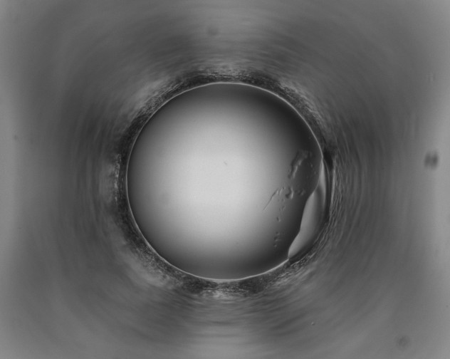 X0000090930739200707301555