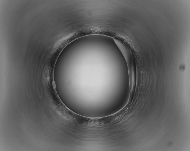 X0000090930740200707301555