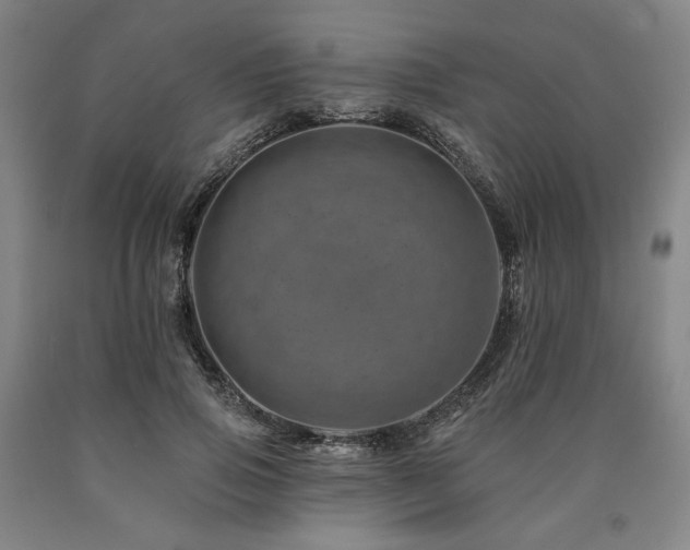 X0000090930741200707301555