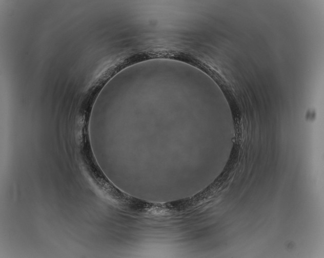 X0000090930742200707301555