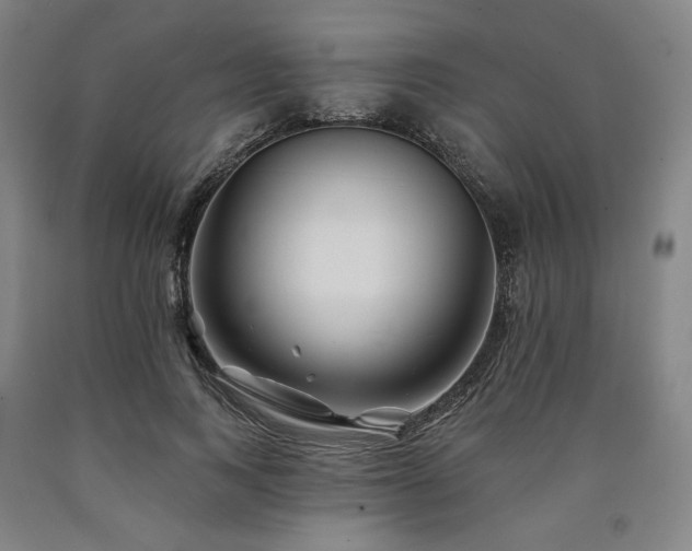 X0000090930743200707301555