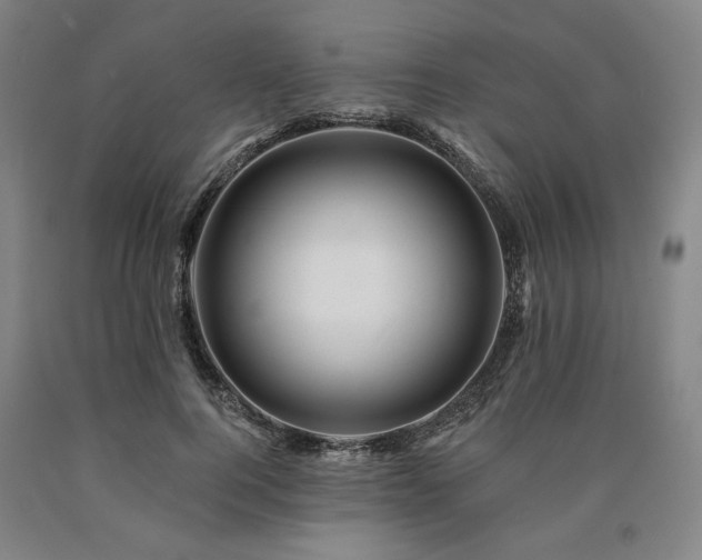 X0000090930744200707301555