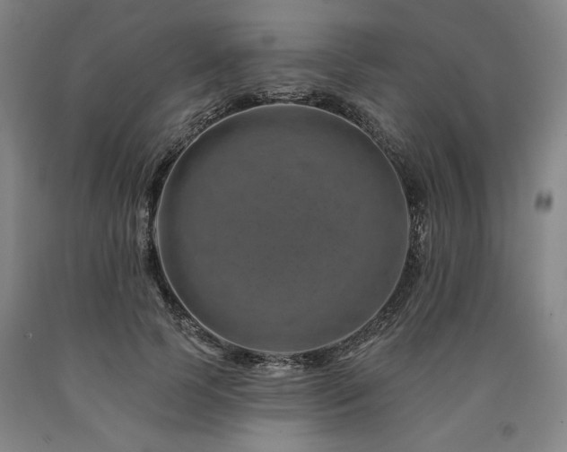 X0000090930745200707301555