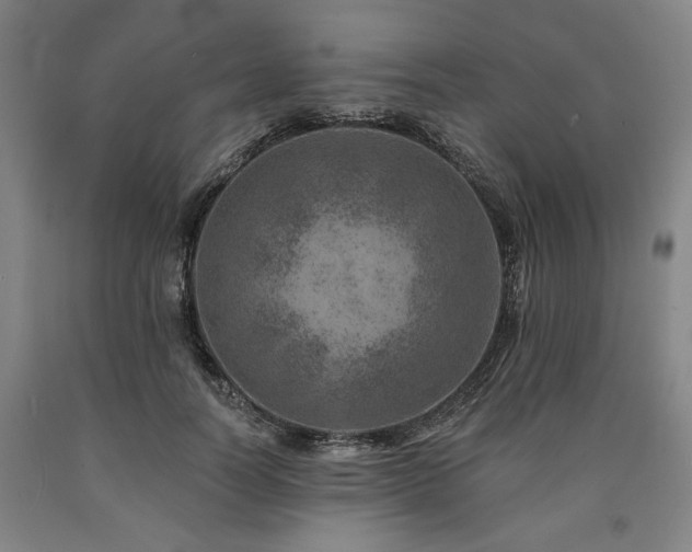 X0000090930746200707301555