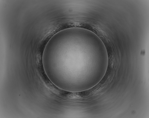 X0000090930747200707301555