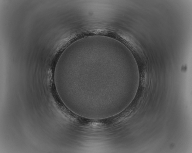 X0000090930748200707301555