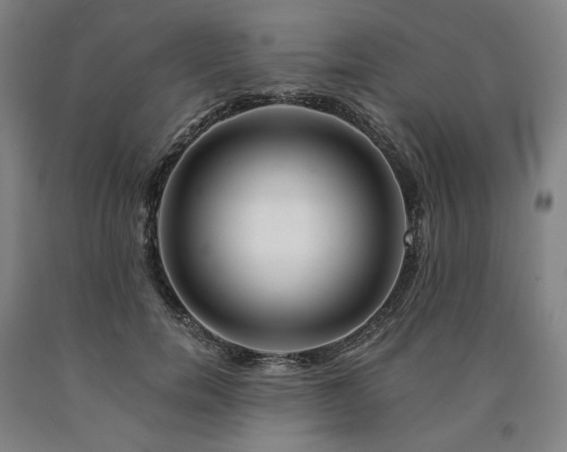 X0000090930750200707301555