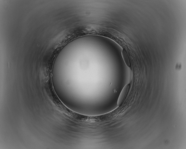 X0000090930751200707301555