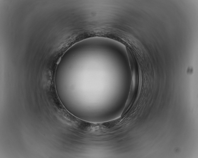 X0000090930752200707301555