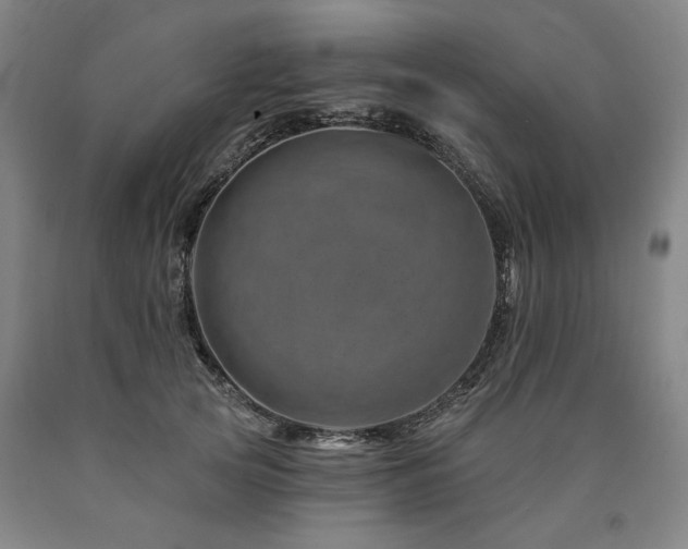 X0000090930753200707301555