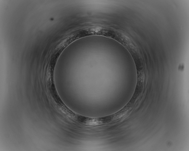 X0000090930754200707301555