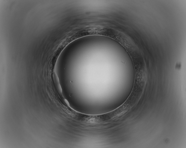 X0000090930755200707301555