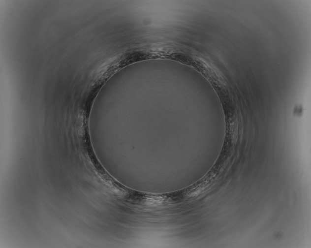 X0000090930757200707301555