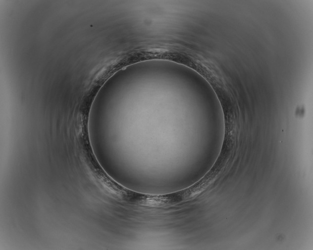 X0000090930758200707301555