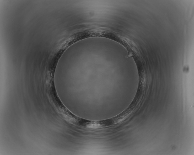 X0000090930759200707301555