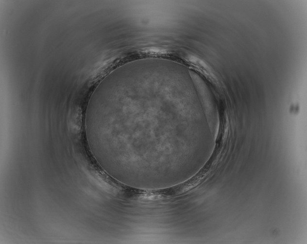 X0000090930760200707301555