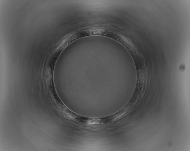 X0000090930761200707301555