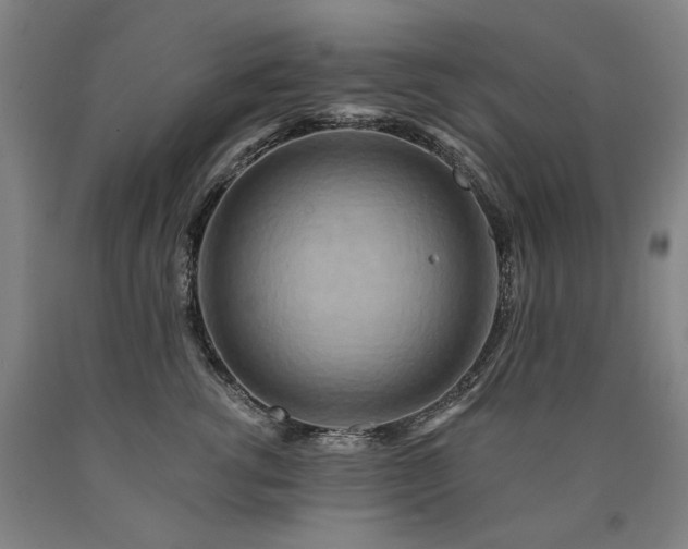 X0000090930762200707301555