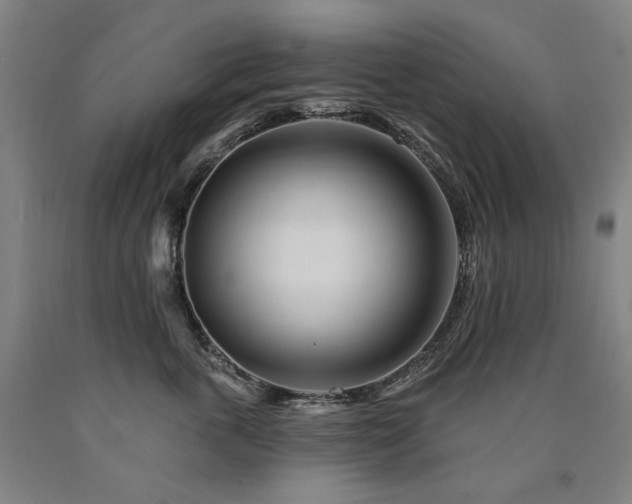 X0000090930763200707301555