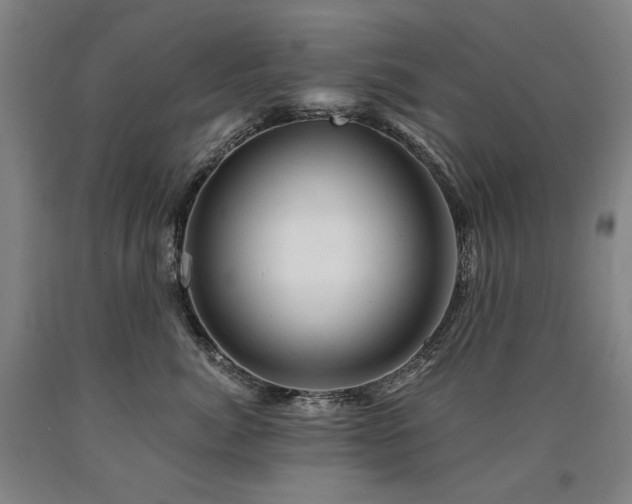 X0000090930764200707301555