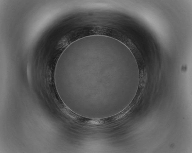 X0000090930765200707301555