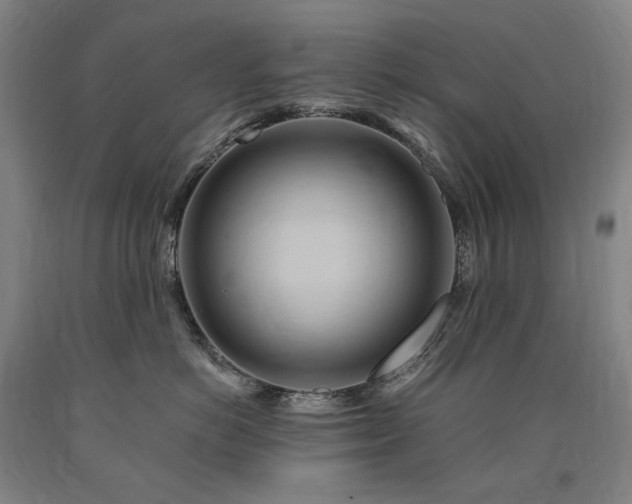 X0000090930766200707301555