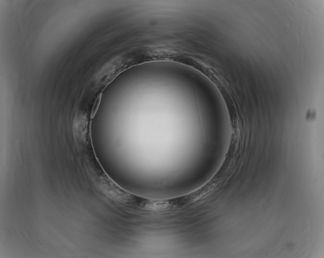 X0000090930767200707301555